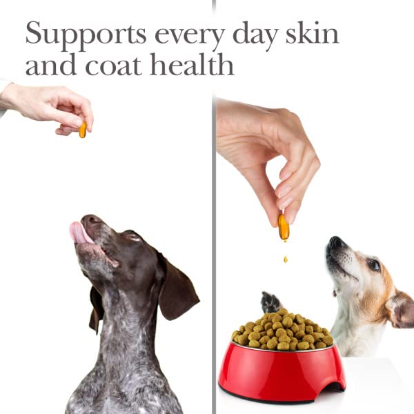 Nutri-Vet Fish Oil Supplements for Dogs - Skin and Coat Omega 3 Supplement - Dog Dry Skin & Dog Shedding Support - 100 Count Softgels