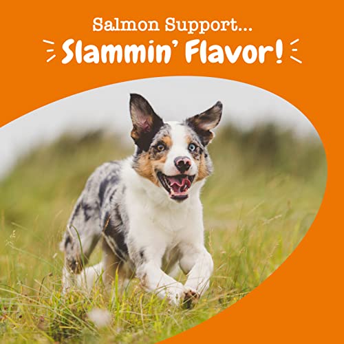 Salmon Fish Oil Omega 3 for Dogs - with Wild Alaskan Salmon Oil - Anti Itch Skin & Coat + Allergy Support - Hip & Joint + Arthritis Dog Supplement + EPA & DHA - 90 Chew Treats - Salmon Flavor